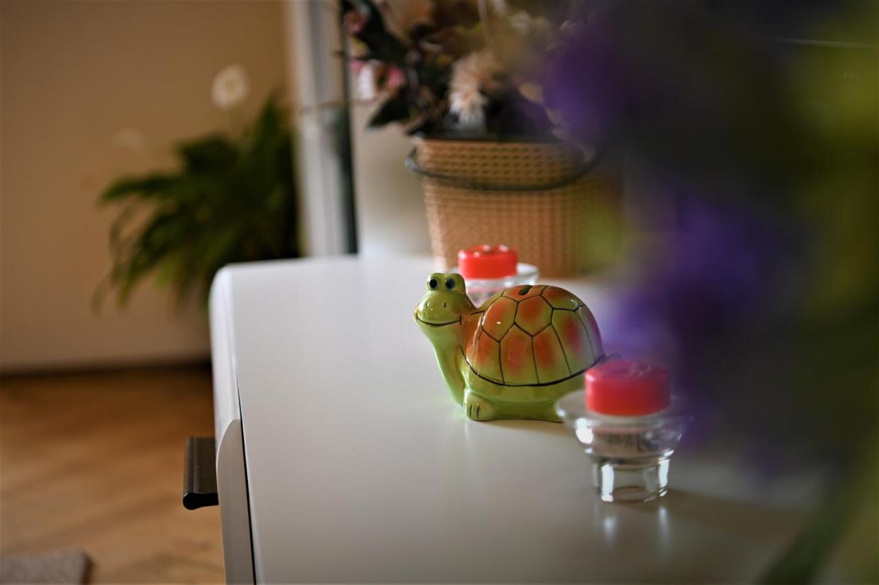 Marin Hotel Apartment ブラショフ エクステリア 写真